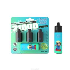 RandM Shop Reviews - RandM Sunax Dispositivo vape substituível com cápsula de controle de fluxo de ar 21000 1 unidade 464N8265 menta refrescante