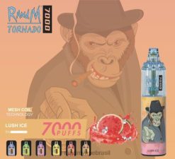 RandM Shop Reviews - RandM Tornado Dispositivo vape de controle de fluxo de ar 7000 1 unidade 464N8165 gelo exuberante