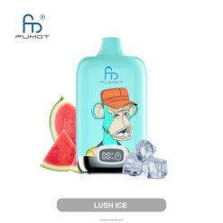 RandM Vape Buy Online - Fumot Original RandM Digital Box Dispositivo vape com bateria 12000 e display líquido 464N87 gelo exuberante