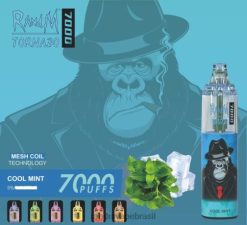 RandM Vape Review - RandM Tornado Dispositivo vape de controle de fluxo de ar 7000 1 unidade 464N8164 menta refrescante